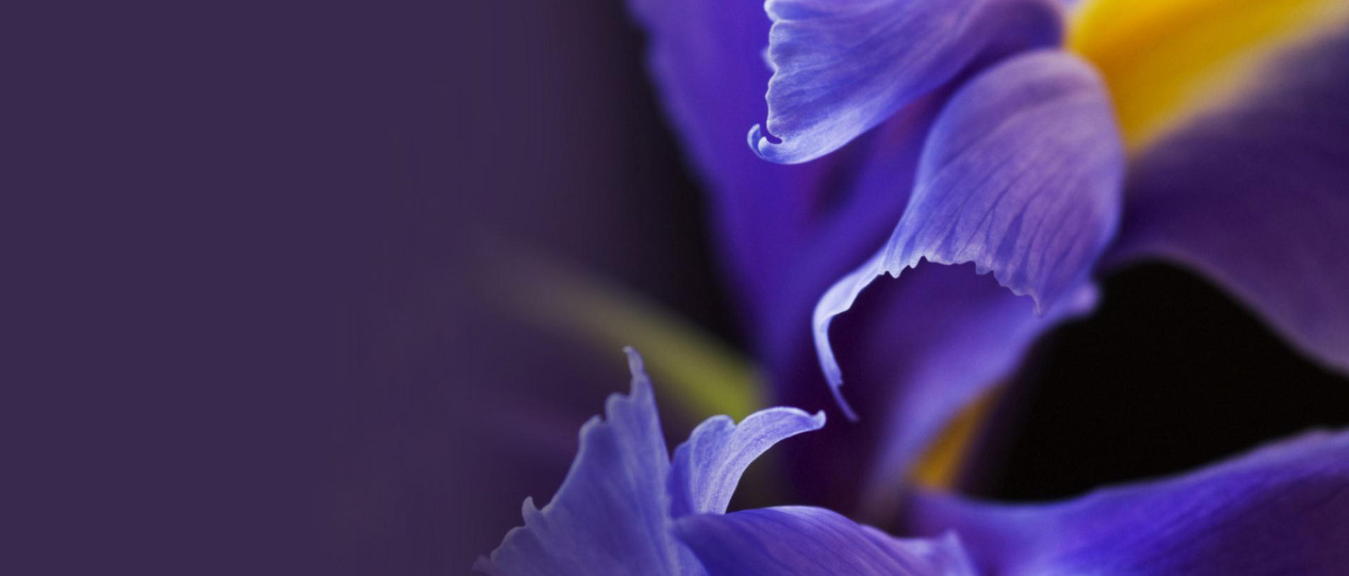 上海助騰網(wǎng)站設(shè)計(jì)制作開發(fā)公司推薦案例-嘉御庭-1