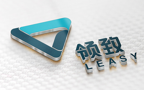 領(lǐng)致科技公司Logo設(shè)計、宣傳物料設(shè)計