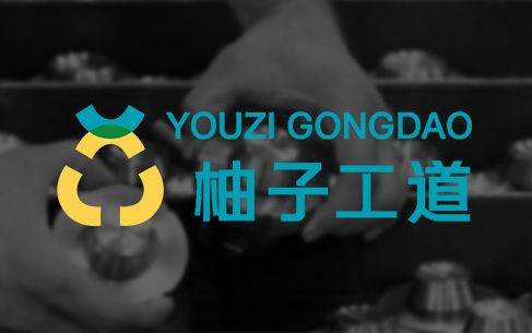 柚子工道電子商務(wù)科技LOGO設(shè)計、包裝設(shè)計、VI設(shè)計